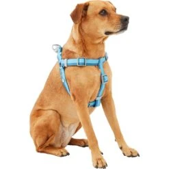 Frisco Outdoor Two Tone Waterproof Stinkproof PVC Dog Harness & Frisco Outdoor Two Tone Waterproof Stinkproof PVC Dog Harness -Pet Supplies Discount Store 319396 PT2. AC SS1800 V1630624884