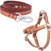 Frisco Outdoor Two Toned Waterproof Stink Proof PVC Dog Leash & Frisco Outdoor Two Tone Waterproof Stinkproof PVC Dog Harness