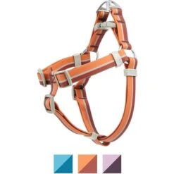 Frisco Outdoor Two Toned Waterproof Stink Proof PVC Dog Leash & Frisco Outdoor Two Tone Waterproof Stinkproof PVC Dog Harness 15 Frisco Outdoor Two Toned Waterproof Stink Proof PVC Dog Leash & Frisco Outdoor Two Tone Waterproof Stinkproof PVC Dog Harness -Pet Supplies Discount Store 319448 PT4. AC SS1800 V1631154390