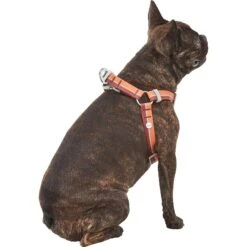 Frisco Outdoor Two Toned Waterproof Stink Proof PVC Dog Leash & Frisco Outdoor Two Tone Waterproof Stinkproof PVC Dog Harness 17 Frisco Outdoor Two Toned Waterproof Stink Proof PVC Dog Leash & Frisco Outdoor Two Tone Waterproof Stinkproof PVC Dog Harness -Pet Supplies Discount Store 319448 PT6. AC SS1800 V1631152279