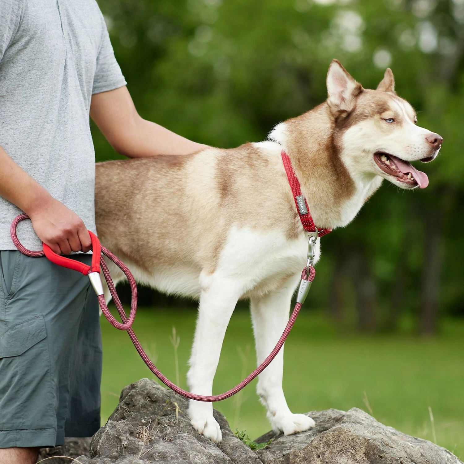 Frisco Outdoor Woven Jacquard Nylon Dog Collar & Frisco Outdoor Waterproof Stinkproof PVC Rope Leash 11 Frisco Outdoor Woven Jacquard Nylon Dog Collar & Frisco Outdoor Waterproof Stinkproof PVC Rope Leash - Image 9
