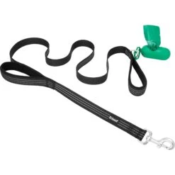 Frisco Traffic Leash With Padded Handles & Poop Bag Dispenser & Frisco Refill Dog Poop Bags Made With 50% Recycled Packaging -Pet Supplies Discount Store 319512 PT5. AC SS1800 V1683212082