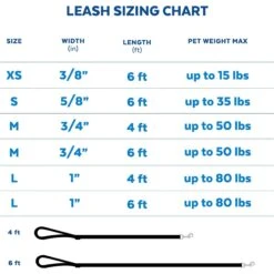 Frisco Traffic Leash With Padded Handles & Poop Bag Dispenser & Frisco Refill Dog Poop Bags Made With 50% Recycled Packaging -Pet Supplies Discount Store 319512 PT6. AC SS1800 V1683212198