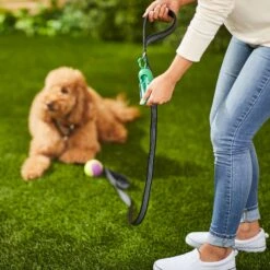 Frisco Traffic Leash With Padded Handles & Poop Bag Dispenser & Frisco Refill Dog Poop Bags Made With 50% Recycled Packaging -Pet Supplies Discount Store 319512 PT8. AC SS1800 V1683212087