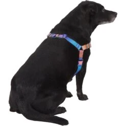 Frisco Purple Ombre Style Dog Harness -Pet Supplies Discount Store 324526 PT3. AC SS1800 V1642519104