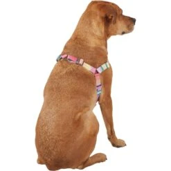 Frisco Pink Ombre Style Dog Harness 10 Frisco Pink Ombre Style Dog Harness -Pet Supplies Discount Store 324537 PT3. AC SS1800 V1642519146