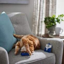 Frisco Father's Day Card Felt Cat Toy With Catnip, 2 Count -Pet Supplies Discount Store 327029 PT3. AC SS1800 V1648667305