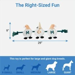 Frisco Mother's Day Gnomes Plush With Rope Squeaky Dog Toy -Pet Supplies Discount Store 327037 PT1. AC SS1800 V1647618088