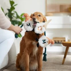 Frisco Mother's Day Gnomes Plush With Rope Squeaky Dog Toy -Pet Supplies Discount Store 327037 PT3. AC SS1800 V1646948102