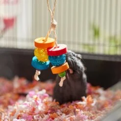 Frisco Dangly Wooden Small Pet Chew Toy -Pet Supplies Discount Store 330871 PT3. AC SS1800 V1647530133