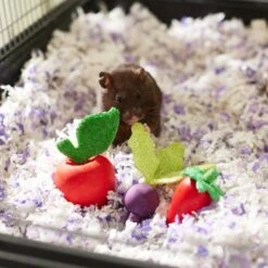 Frisco Wooden Fruit Assortment Small Pet Chew Toy -Pet Supplies Discount Store 330883 PT2. AC SS1800 V1647530150