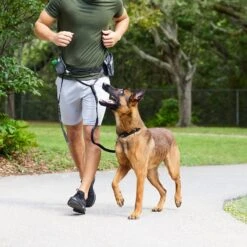 Frisco Outdoor Running Belt With Bungee Dog Leash 14 Frisco Outdoor Running Belt With Bungee Dog Leash -Pet Supplies Discount Store 331408 PT6. AC SS1800 V1660078547