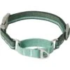 Frisco Outdoor Running Martingale Dog Collar -Pet Supplies Discount Store 331413 MAIN. AC SS1800 V1659977325
