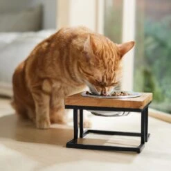 Frisco Premium Wood Elevated Single Dog & Cat Bowl 12 Frisco Premium Wood Elevated Single Dog & Cat Bowl -Pet Supplies Discount Store 331493 PT3. AC SS1800 V1657656892
