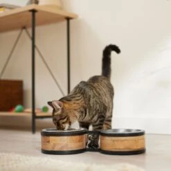 Frisco Premium Elevated Bone Design Stainless Steel Double Diner Dog & Cat Bowl -Pet Supplies Discount Store 331499 PT3. AC SS1800 V1657656892