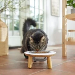 Frisco Premium Round Shape Elevated Single Dog & Cat Bowl 11 Frisco Premium Round Shape Elevated Single Dog & Cat Bowl -Pet Supplies Discount Store 331502 PT3. AC SS1800 V1657656892