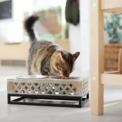 Frisco Premium Wood Elevated Stainless Steel Double Diner Dog & Cat Bowl, 3 Cup -Pet Supplies Discount Store 331507 PT3. AC SS1800 V1657656894