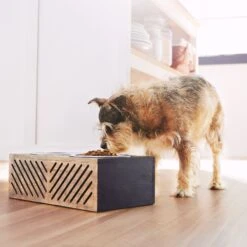 Frisco Premium Wood Elevated Stainless Steel Double Diner Dog & Cat Bowl, Black, 3 Cup -Pet Supplies Discount Store 331509 PT2. AC SS1800 V1657656894