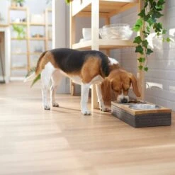 Frisco Premium Stainless Steel Double Diner Dog & Cat Bowl, Black -Pet Supplies Discount Store 331532 PT2. AC SS1800 V1657656874