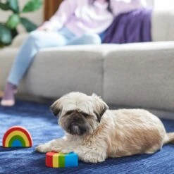 Frisco Pride Rainbow & Heart Latex Squeaky Dog Toy, 2 Count -Pet Supplies Discount Store 331632 PT3. AC SS1800 V1647355825