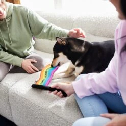 Frisco Pride Flag Flat Squeaky Dog Toy -Pet Supplies Discount Store 331640 PT3. AC SS1800 V1647355852