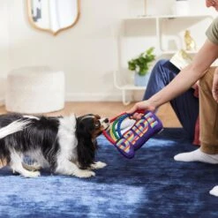 Frisco Pride Rainbow Plush With Rope Squeaky Dog Toy 7 Frisco Pride Rainbow Plush With Rope Squeaky Dog Toy -Pet Supplies Discount Store 331653 PT3. AC SS1800 V1647356026