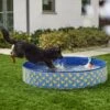 Frisco Outdoor Dog Swimming Pool, Rubber Ducky 1 Frisco Outdoor Dog Swimming Pool, Rubber Ducky -Pet Supplies Discount Store 331660 MAIN. AC SS1800 V1646178232