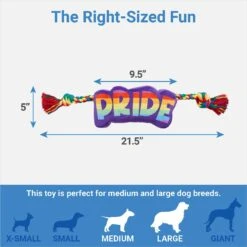 Frisco Pride Plush With Rope Squeaky Dog Toy -Pet Supplies Discount Store 331661 PT1. AC SS1800 V1649785001