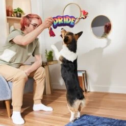 Frisco Pride Plush With Rope Squeaky Dog Toy -Pet Supplies Discount Store 331661 PT3. AC SS1800 V1647356002