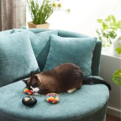 Frisco Pride Buttons Plush Cat Toy With Catnip, 3 Count -Pet Supplies Discount Store 331688 PT3. AC SS1800 V1647355746