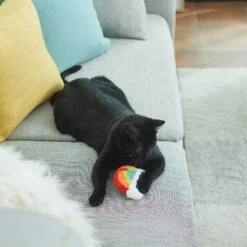Frisco Pride Rainbow Plush Cat Toy With Silvervine -Pet Supplies Discount Store 331690 PT3. AC SS1800 V1647355685