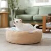 Frisco Cat Donut Bed -Pet Supplies Discount Store 333854 MAIN. AC SS1800 V1658716873