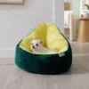 Frisco Avocado Cat & Dog Bed -Pet Supplies Discount Store 333856 MAIN. AC SS1800 V1658717997