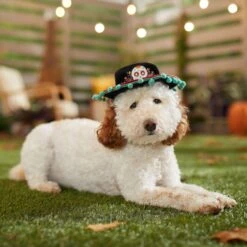 Frisco Day Of The Dead Dog & Cat Hat -Pet Supplies Discount Store 334497 PT6. AC SS1800 V1657720139