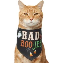 Frisco Bad & Boo-Jee Dog & Cat Costume Bandana -Pet Supplies Discount Store 334807 PT2. AC SS1800 V1659034006