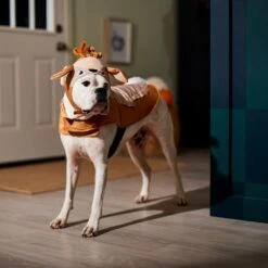 Frisco Deer Dog & Cat Costume -Pet Supplies Discount Store 334874 PT7. AC SS1800 V1657720507