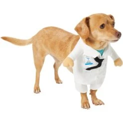 Frisco Front Walking Doctor Dog & Cat Costume -Pet Supplies Discount Store 334900 PT3. AC SS1800 V1658344549