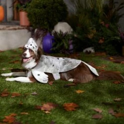 Frisco Seal Dog & Cat Costume 14 Frisco Seal Dog & Cat Costume -Pet Supplies Discount Store 334983 PT7. AC SS1800 V1657730462