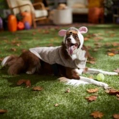 Frisco Hedgehog Dog & Cat Costume 14 Frisco Hedgehog Dog & Cat Costume -Pet Supplies Discount Store 334990 PT7. AC SS1800 V1657732628