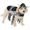 Frisco Spider Dog & Cat Costume -Pet Supplies Discount Store 335017 MAIN. AC SS1800 V1658718137