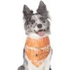 Frisco Orange Spiderweb Dog & Cat Costume Bandana -Pet Supplies Discount Store 335046 MAIN. AC SS1800 V1658719175