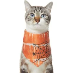 Frisco Orange Spiderweb Dog & Cat Costume Bandana 12 Frisco Orange Spiderweb Dog & Cat Costume Bandana -Pet Supplies Discount Store 335046 PT2. AC SS1800 V1658716498