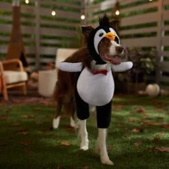 Frisco Front Walking Penguin Dog & Cat Costume -Pet Supplies Discount Store 335062 PT7. AC SS1800 V1657718971