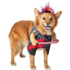 Frisco Front Walking Punk Rocker Dog & Cat Costume -Pet Supplies Discount Store 335087 PT3. AC SS1800 V1658346323