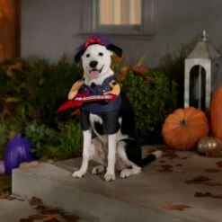 Frisco Front Walking Punk Rocker Dog & Cat Costume -Pet Supplies Discount Store 335087 PT7. AC SS1800 V1657732627