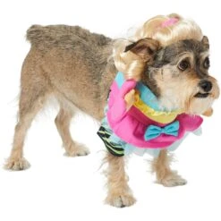 Frisco Front Walking Workout Girl Dog & Cat Costume -Pet Supplies Discount Store 335111 PT3. AC SS1800 V1659027675
