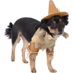 Frisco Front Walking Scarecrow Dog & Cat Costume -Pet Supplies Discount Store 335135 PT3. AC SS1800 V1658349680