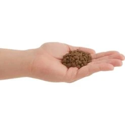 ACANA First Feast High-Protein Kitten Dry Cat Food, 4-lb Bag & Frisco Multi-Cat Unscented Clumping Clay Cat Litter 14 ACANA First Feast High-Protein Kitten Dry Cat Food, 4-lb Bag & Frisco Multi-Cat Unscented Clumping Clay Cat Litter -Pet Supplies Discount Store 338643 PT3. AC SS1800 V1635909934