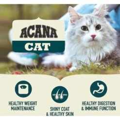 ACANA First Feast High-Protein Kitten Dry Cat Food, 4-lb Bag & Frisco Multi-Cat Unscented Clumping Clay Cat Litter 15 ACANA First Feast High-Protein Kitten Dry Cat Food, 4-lb Bag & Frisco Multi-Cat Unscented Clumping Clay Cat Litter -Pet Supplies Discount Store 338643 PT4. AC SS1800 V1635899904