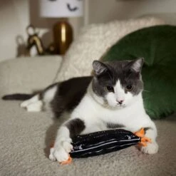 Frisco Halloween A-Paw-Thecary Kicker Plush Cat Toy With Catnip 8 Frisco Halloween A-Paw-Thecary Kicker Plush Cat Toy With Catnip -Pet Supplies Discount Store 344000 PT3. AC SS1800 V1657657029